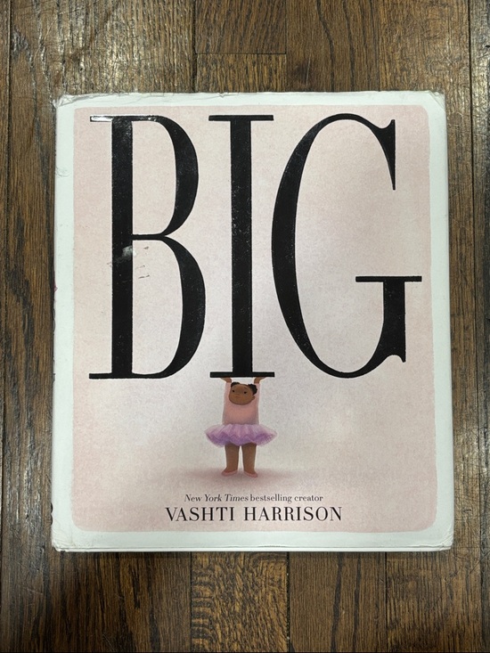 Other - BIG by Vashti Harrison Pink Cover Children's Book